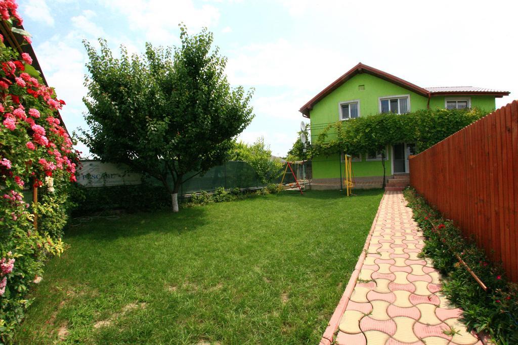 Casa Nelu Pescaru Hotell Mahmudia Exteriör bild