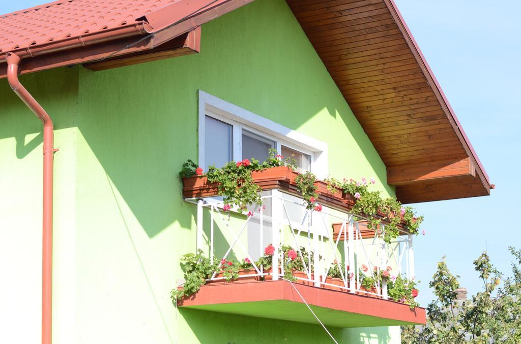 Casa Nelu Pescaru Hotell Mahmudia Exteriör bild
