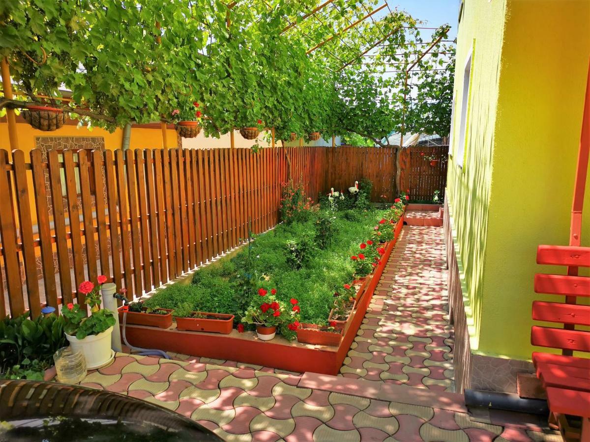 Casa Nelu Pescaru Hotell Mahmudia Exteriör bild