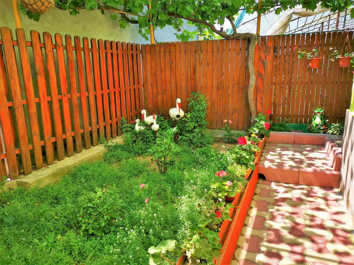 Casa Nelu Pescaru Hotell Mahmudia Exteriör bild
